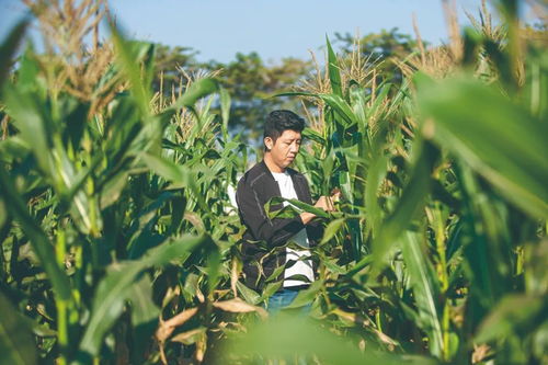 農大夫妻的現實版“去有風的地方” 用心打造屬于自己的農產品夢想