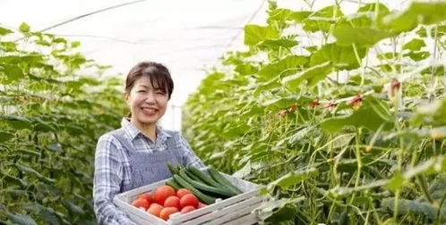 三產(chǎn)融合，共贏未來 如何將休閑農(nóng)業(yè)、鄉(xiāng)村旅游與有機(jī)農(nóng)產(chǎn)品種植打造成最佳營銷組合